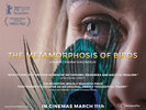 The Metamorphosis of Birds (2020) Thumbnail