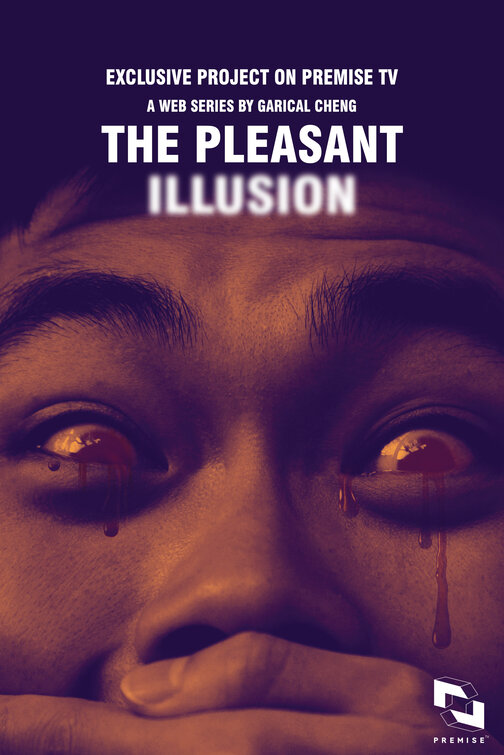 The Pleasant Illusion Movie Poster