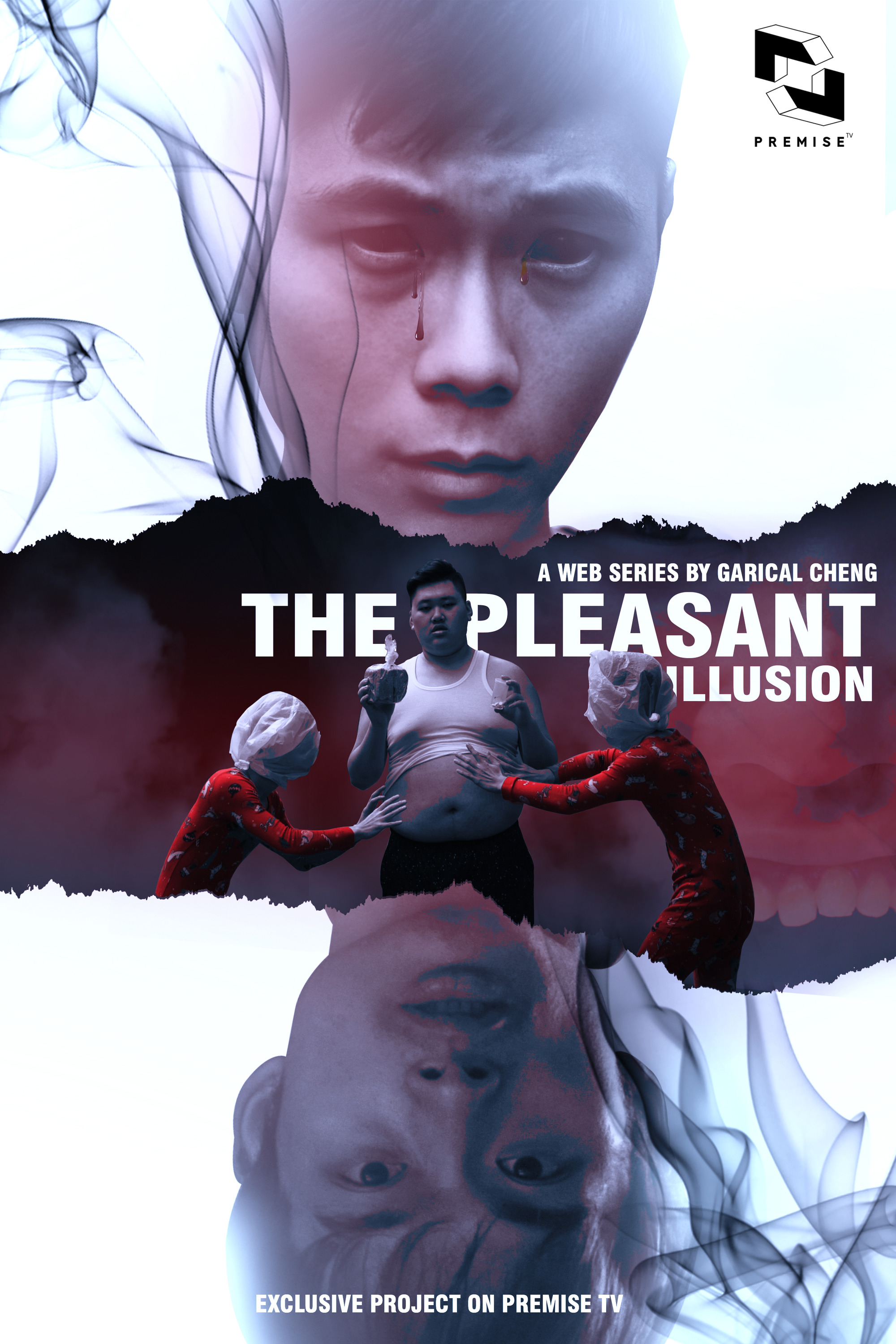 Mega Sized TV Poster Image for The Pleasant Illusion (#3 of 3)