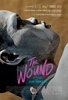 The Wound (2017) Thumbnail