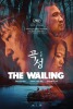 The Wailing (2016) Thumbnail