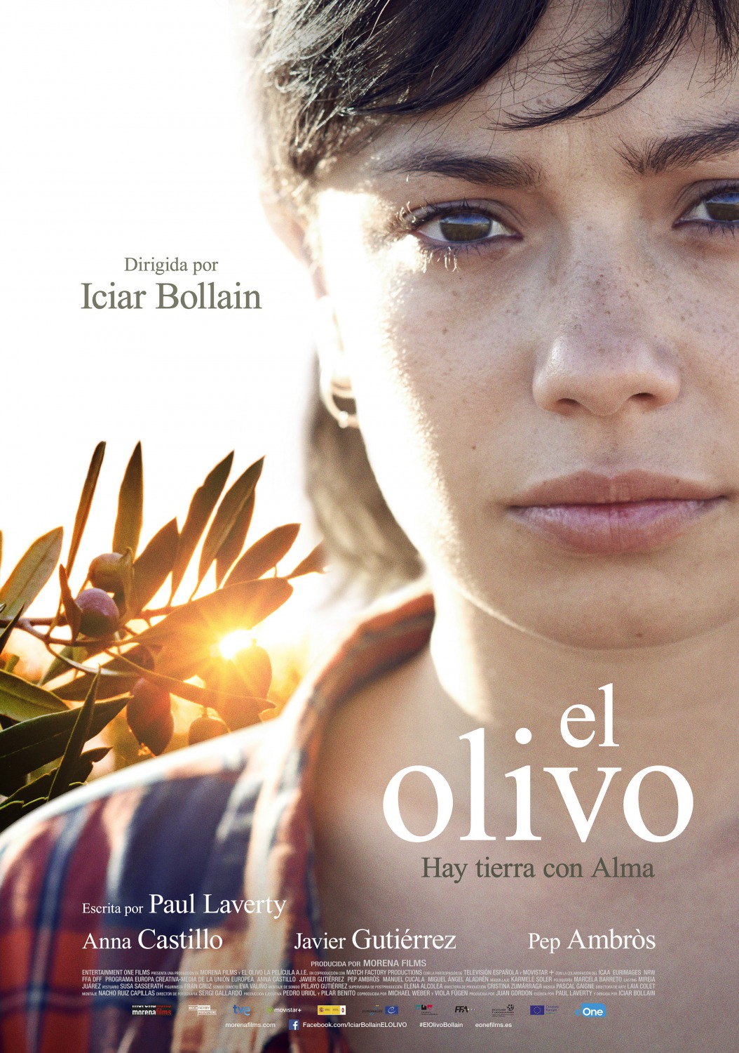 Kuvahaun tulos haulle El Olivo / The Olive Tree film poster