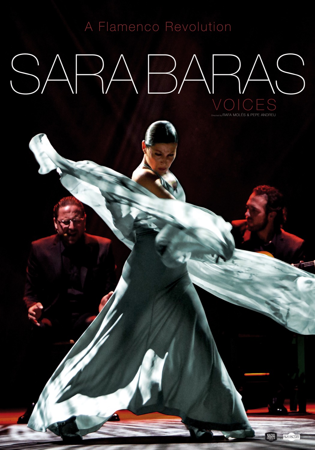 Extra Large Movie Poster Image for Sara Baras: Voices 