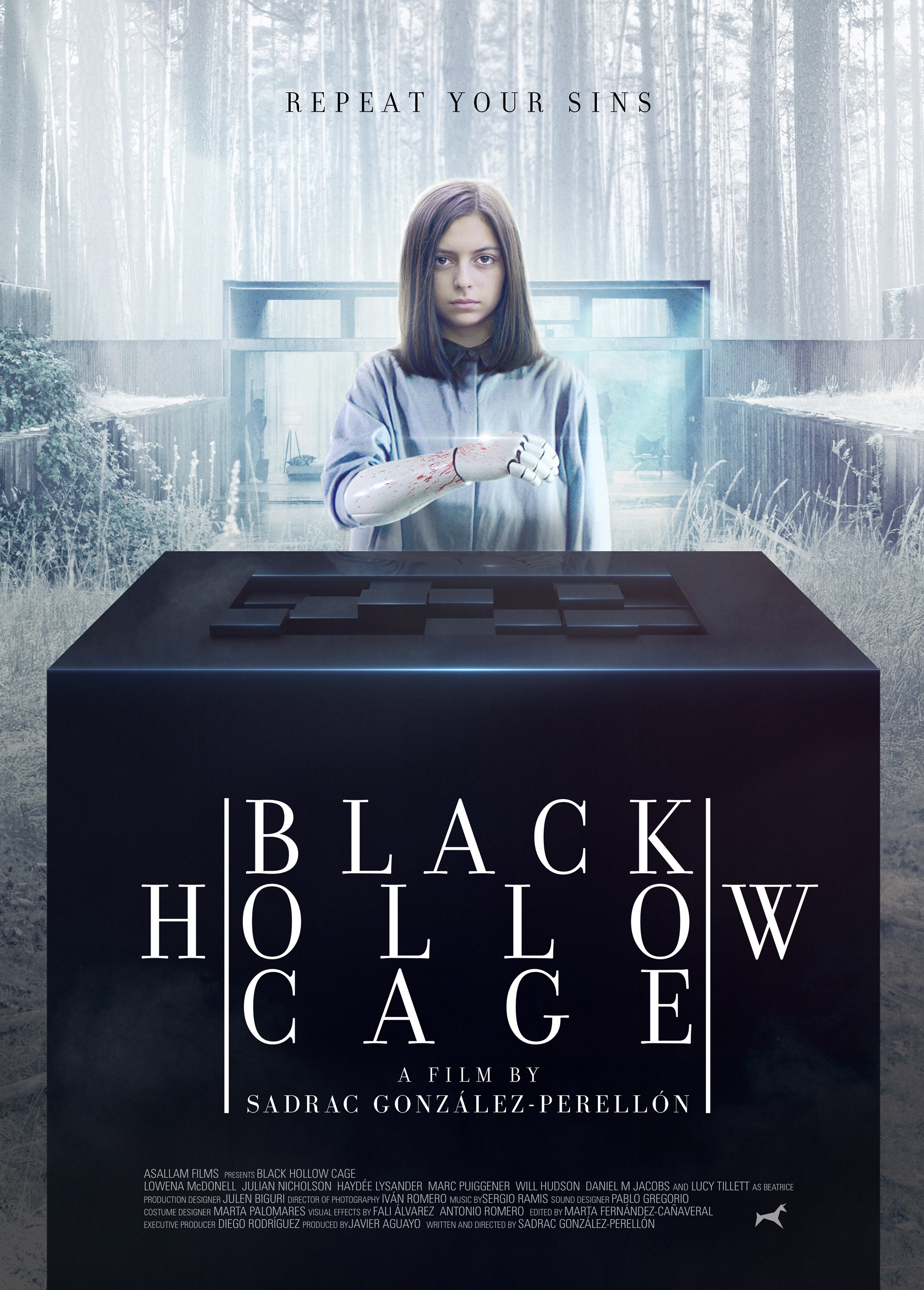 Mega Sized Movie Poster Image for Black Hollow Cage 