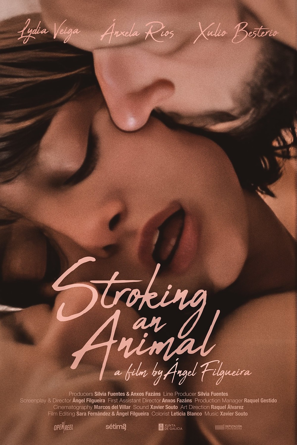 Extra Large Movie Poster Image for Stroking an Animal (#2 of 2)