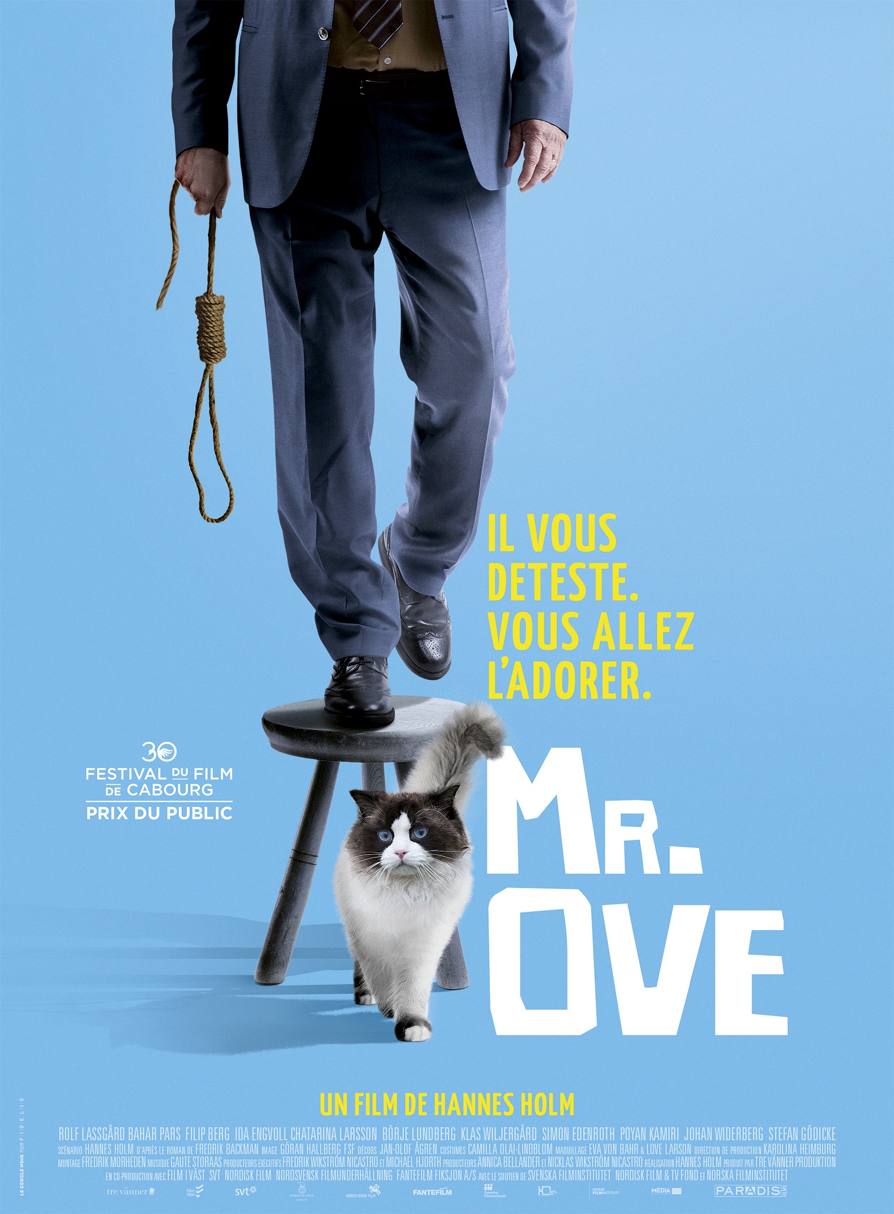 Mega Sized Movie Poster Image for En man som heter Ove (#3 of 3)