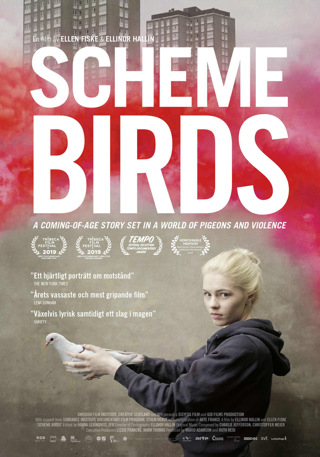 Extra Large Movie Poster Image for Scheme Birds 