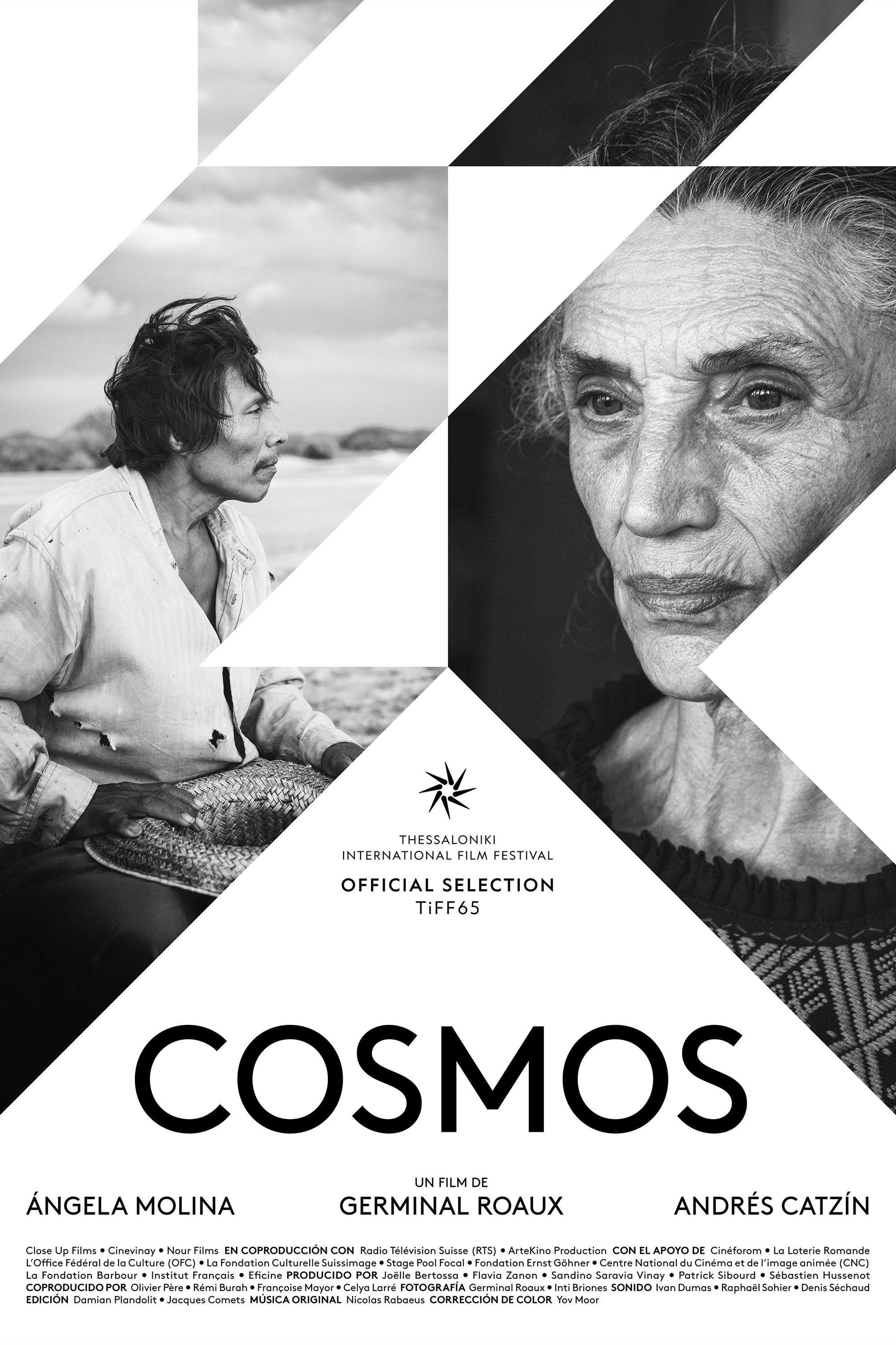 Mega Sized Movie Poster Image for Cosmos (#1 of 3)