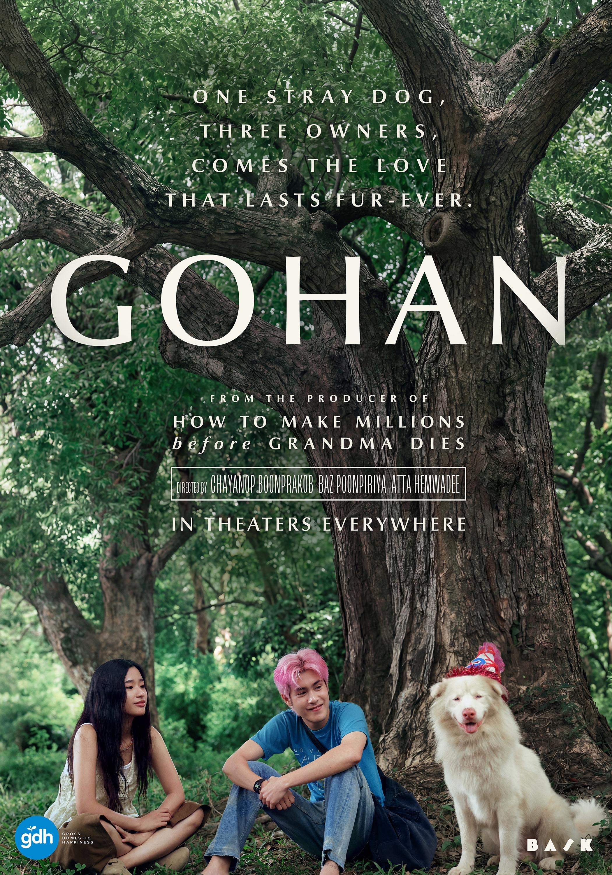 Mega Sized Movie Poster Image for Gohan (#5 of 6)