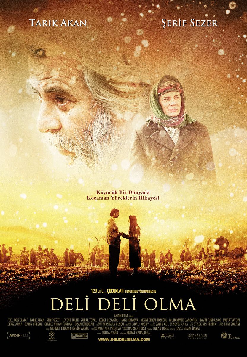 Extra Large Movie Poster Image for Deli deli olma 