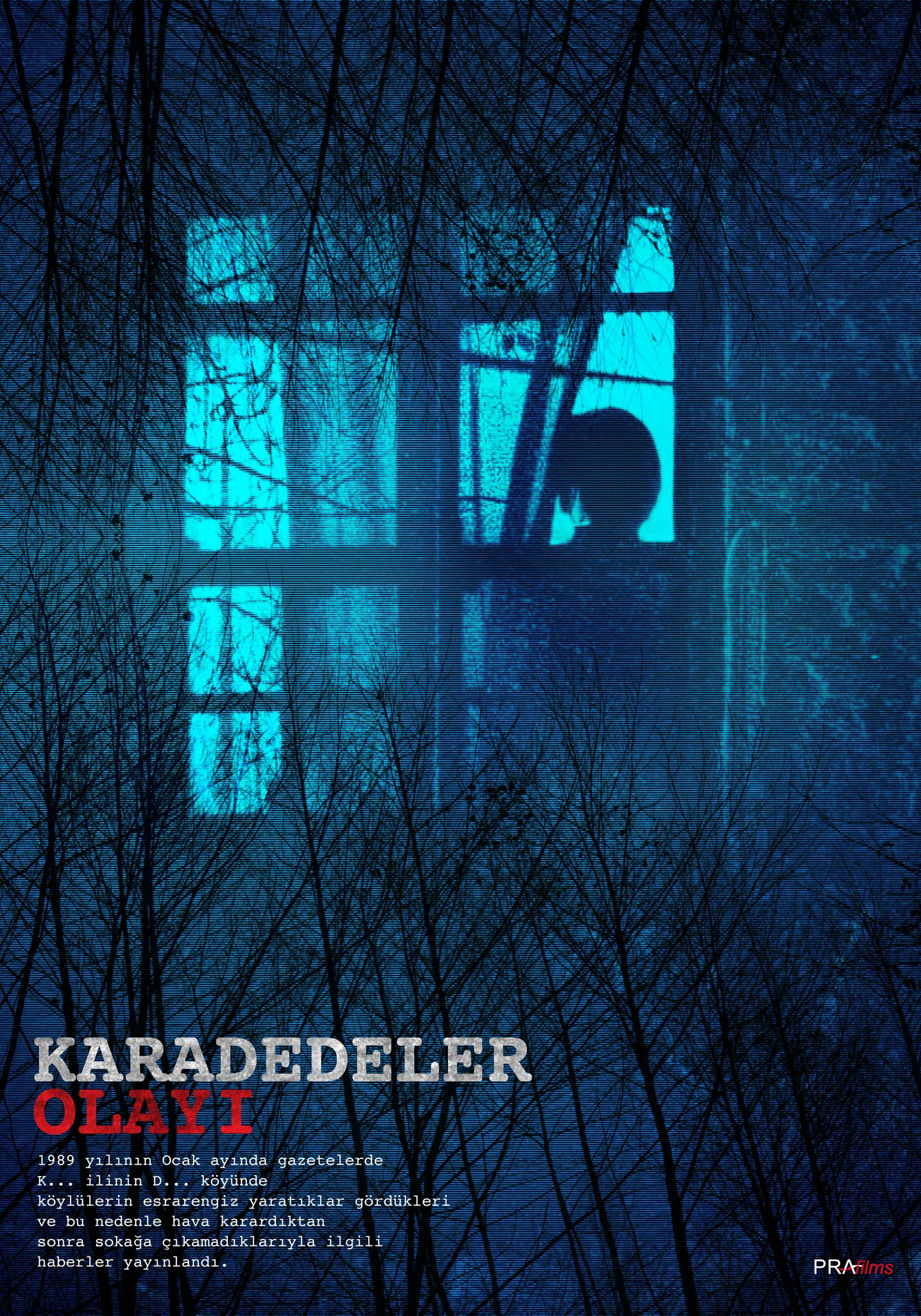 Mega Sized Movie Poster Image for Karadedeler Olayi 