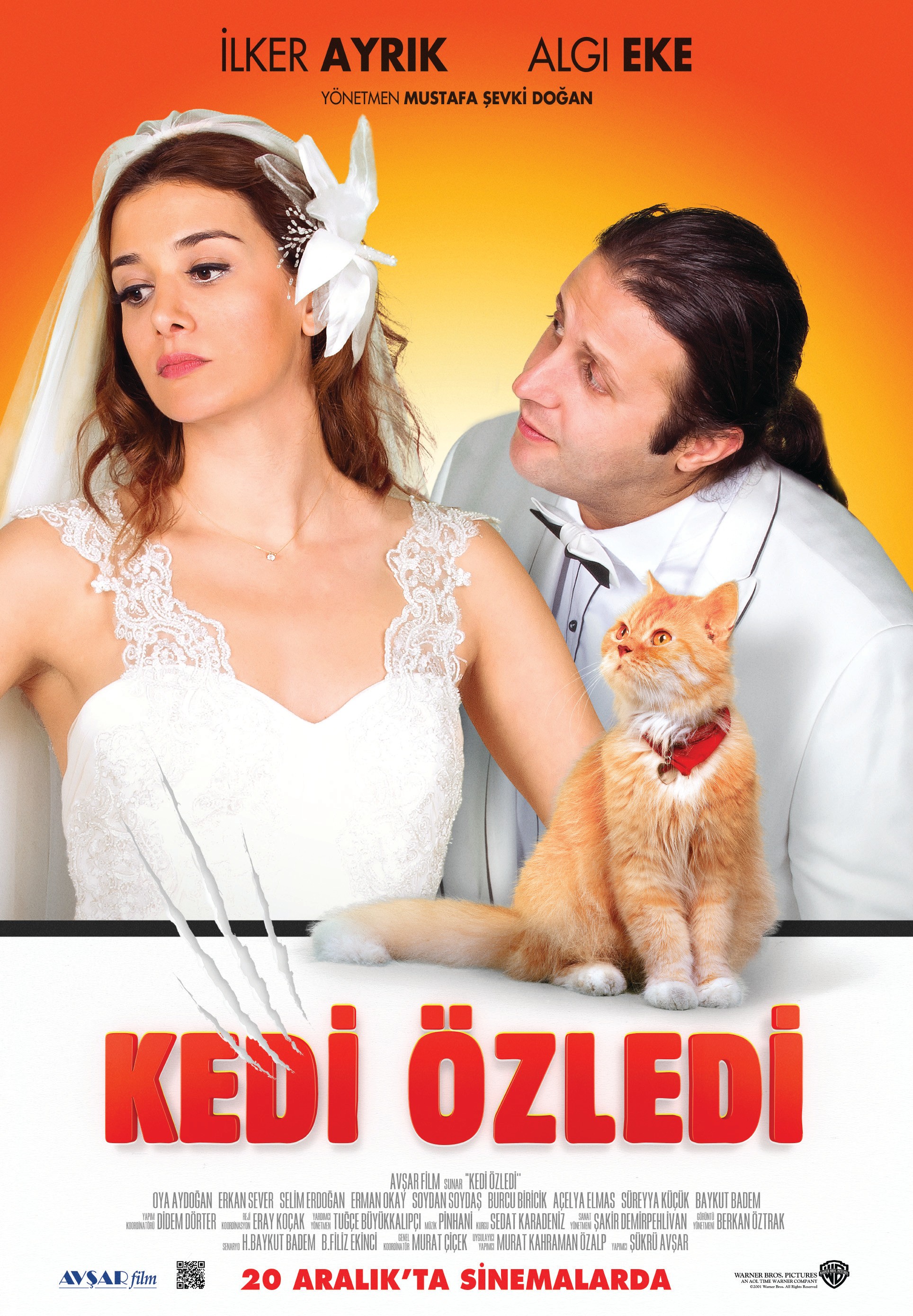 Mega Sized Movie Poster Image for Kedi Özledi 