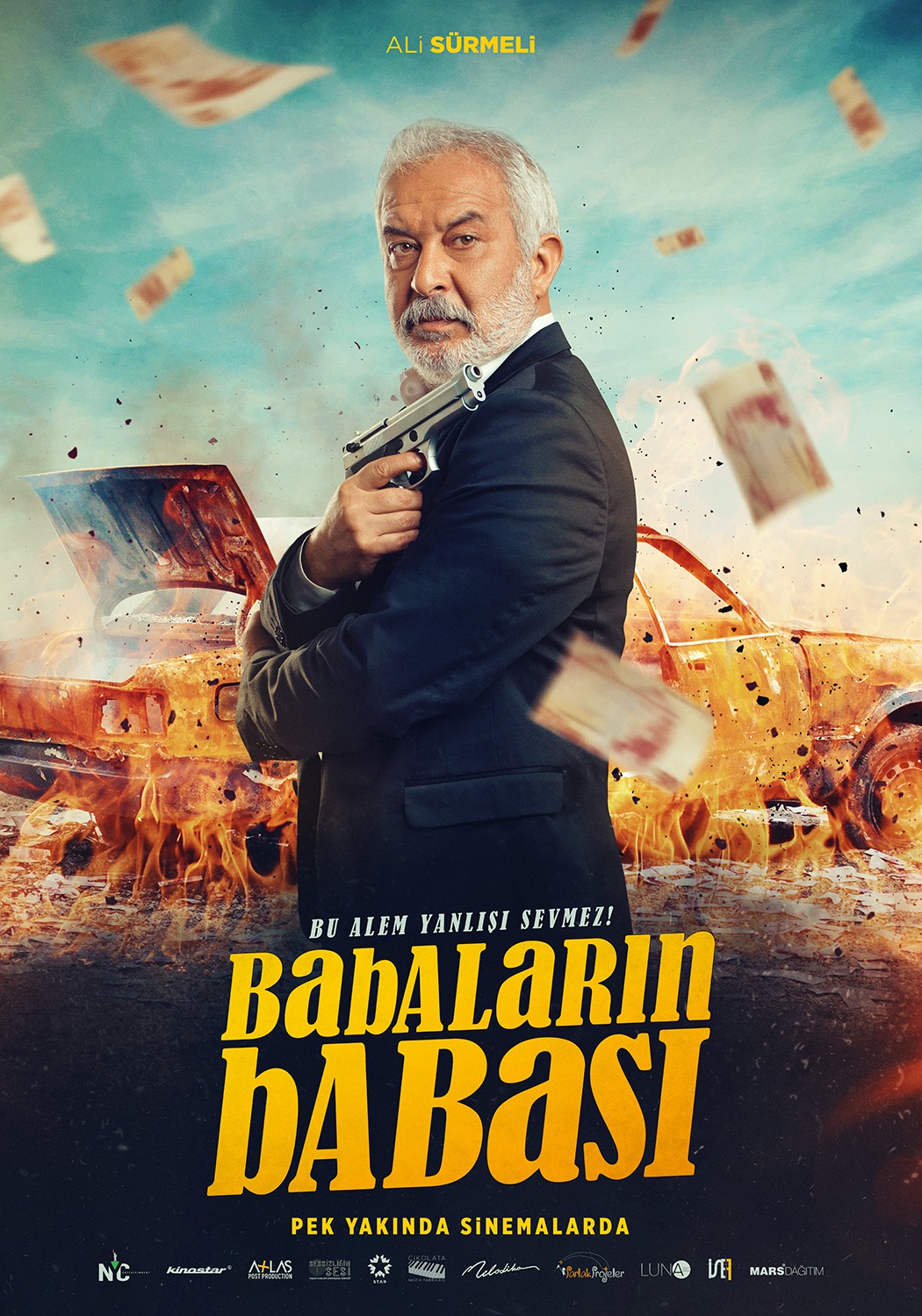Extra Large Movie Poster Image for Babalarin Babasi (#5 of 12)