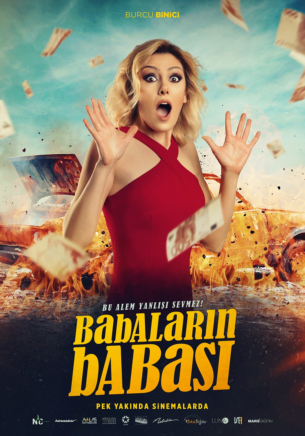Extra Large Movie Poster Image for Babalarin Babasi (#7 of 12)