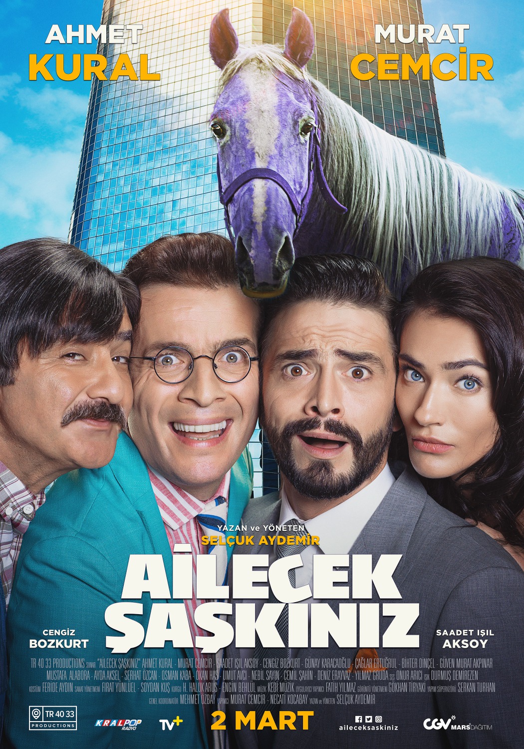 Extra Large Movie Poster Image for Ailecek Şaşkınız (#2 of 9)