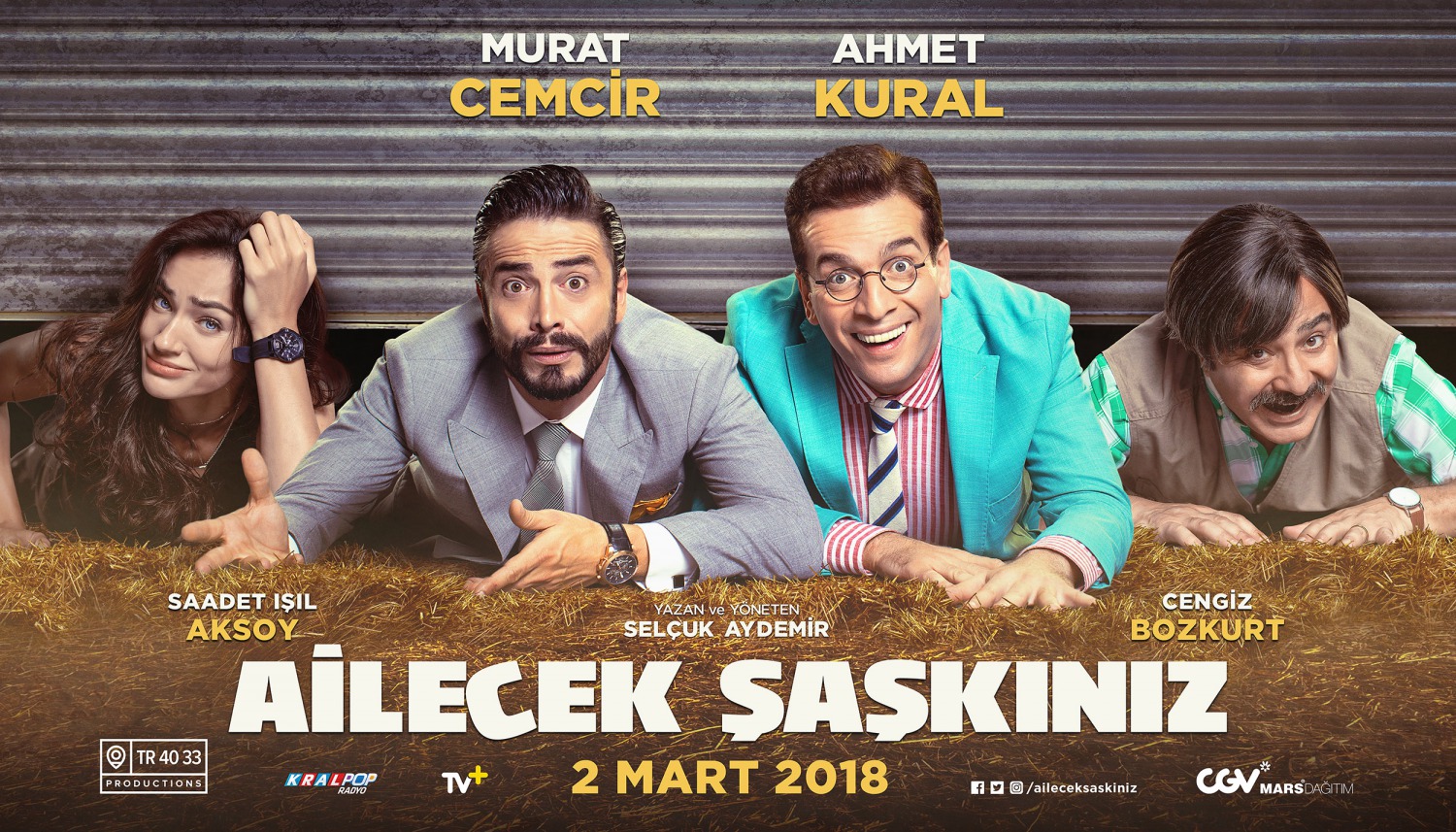 Extra Large Movie Poster Image for Ailecek Şaşkınız (#3 of 9)