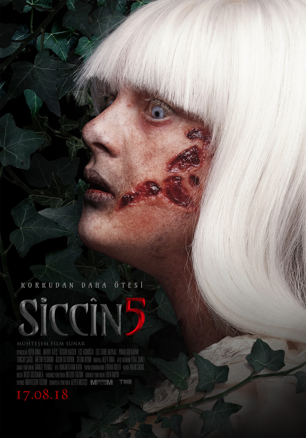 Extra Large Movie Poster Image for Siccin 5 (#2 of 3)