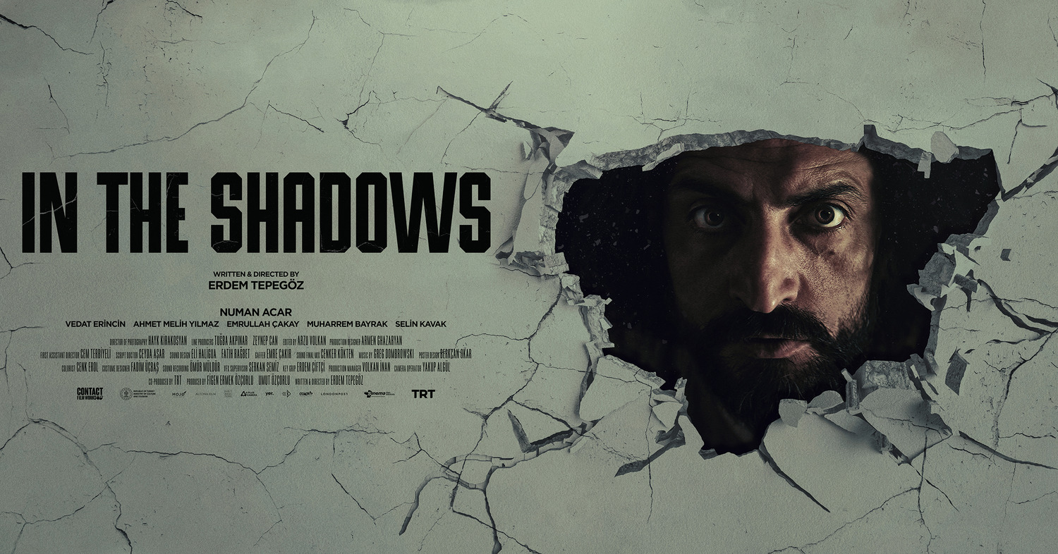 Extra Large Movie Poster Image for In the Shadows (#3 of 3)