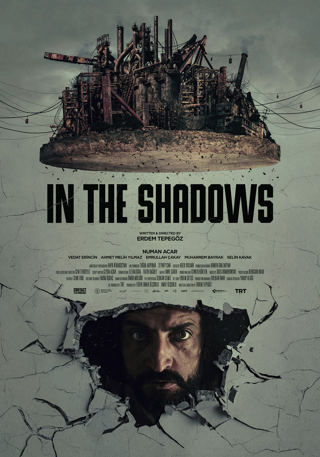 Extra Large Movie Poster Image for In the Shadows (#1 of 3)