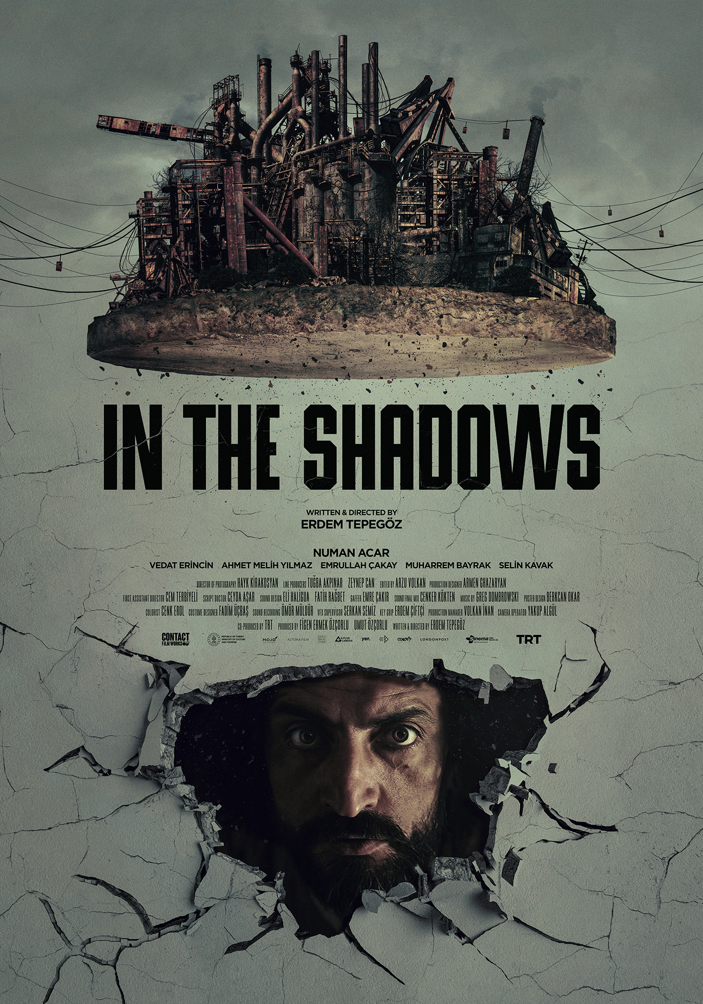 Mega Sized Movie Poster Image for In the Shadows (#1 of 3)