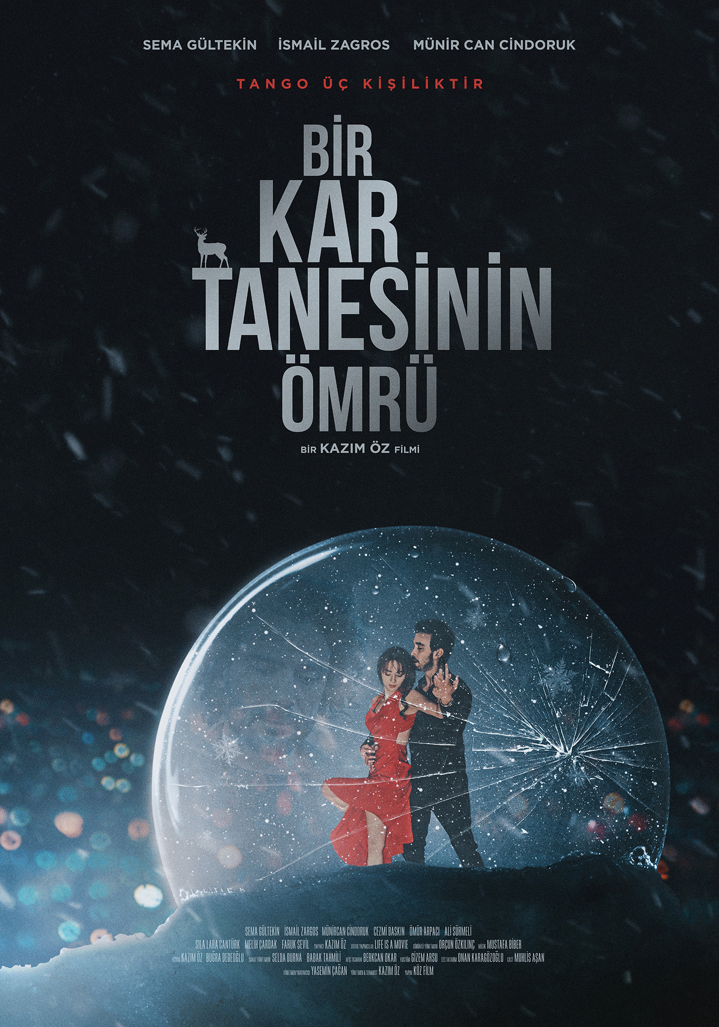 Mega Sized Movie Poster Image for Bir Kar Tanesinin Ömrü (#2 of 2)