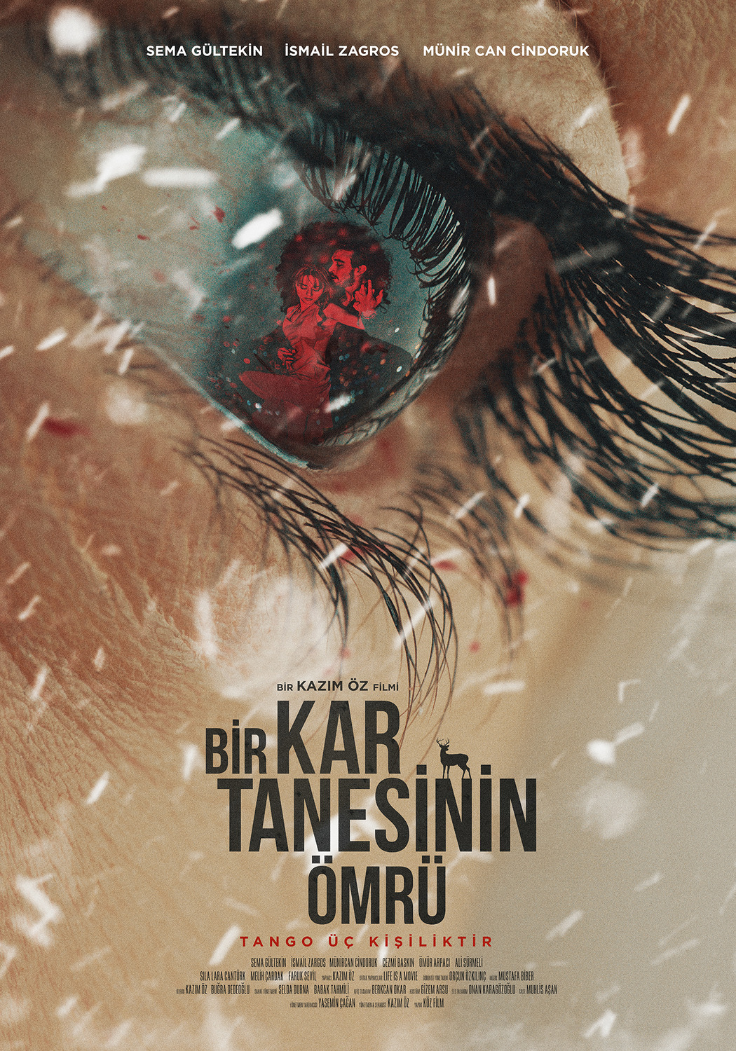 Extra Large Movie Poster Image for Bir Kar Tanesinin Ömrü (#1 of 2)