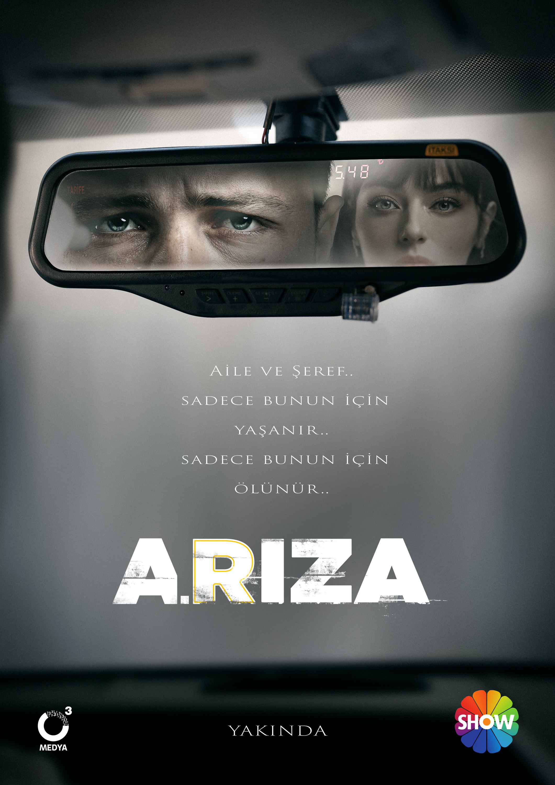 Mega Sized TV Poster Image for Ariza (#1 of 2)