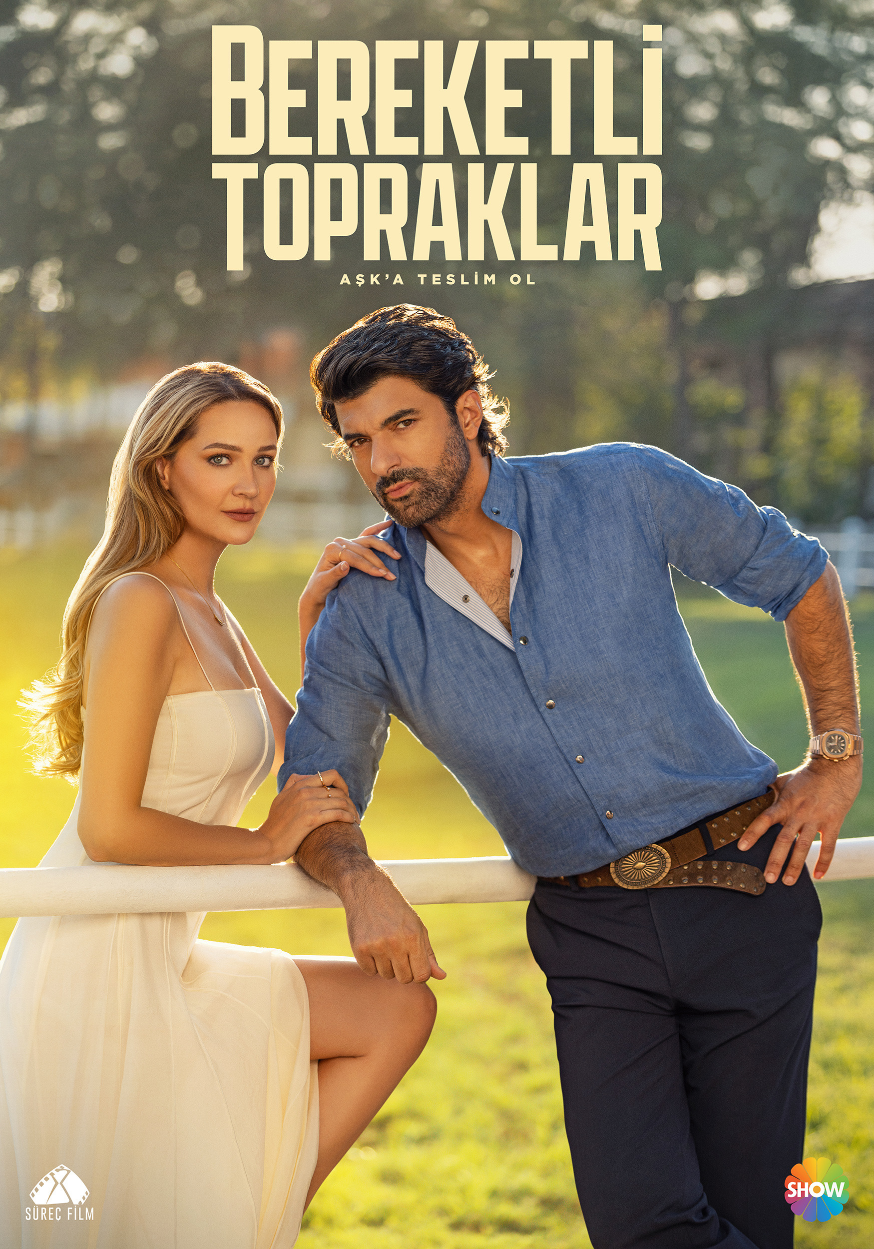 Mega Sized TV Poster Image for Bereketli Topraklar (#2 of 15)