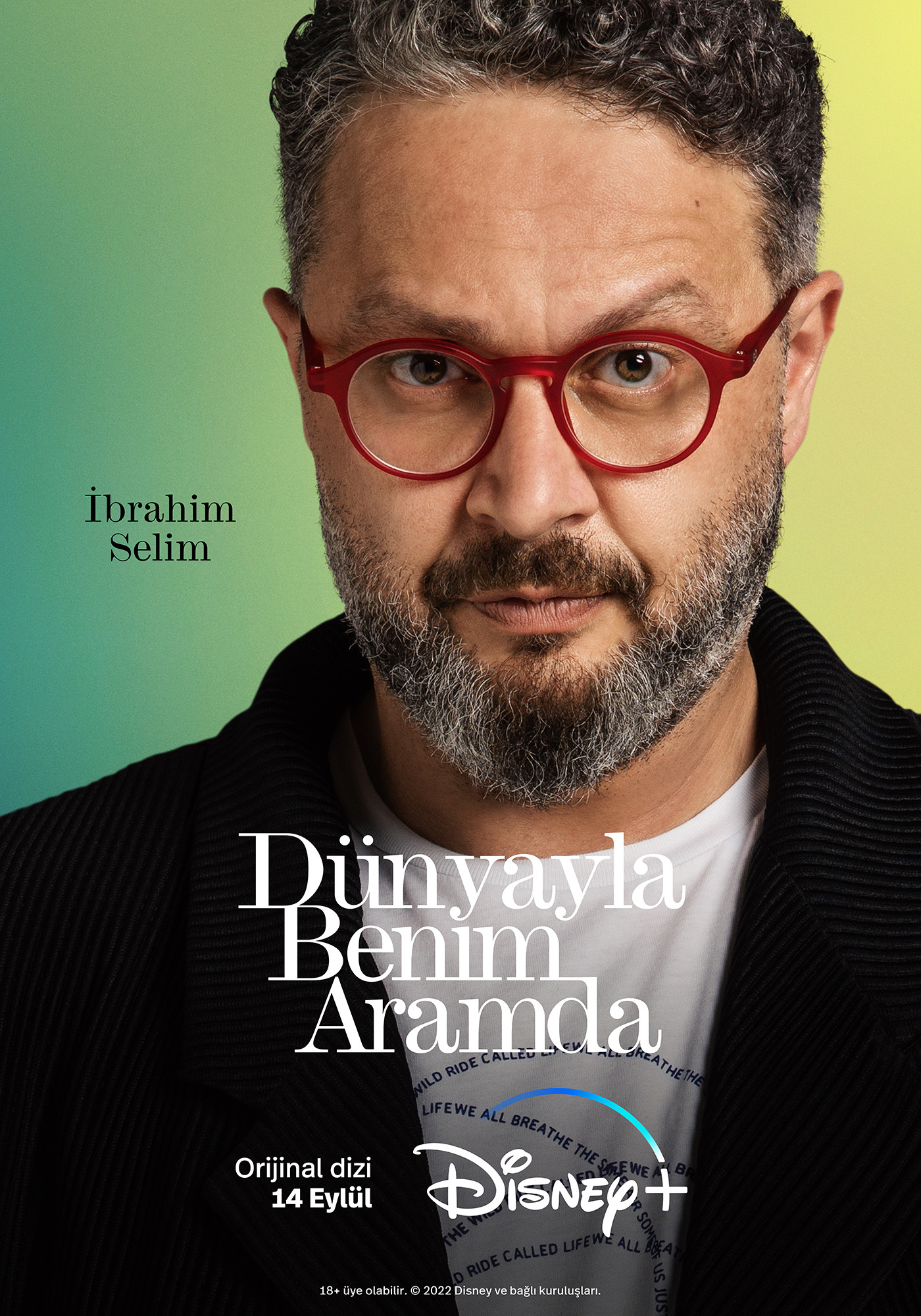 Mega Sized TV Poster Image for Dünyayla Benim Aramda (#9 of 11)