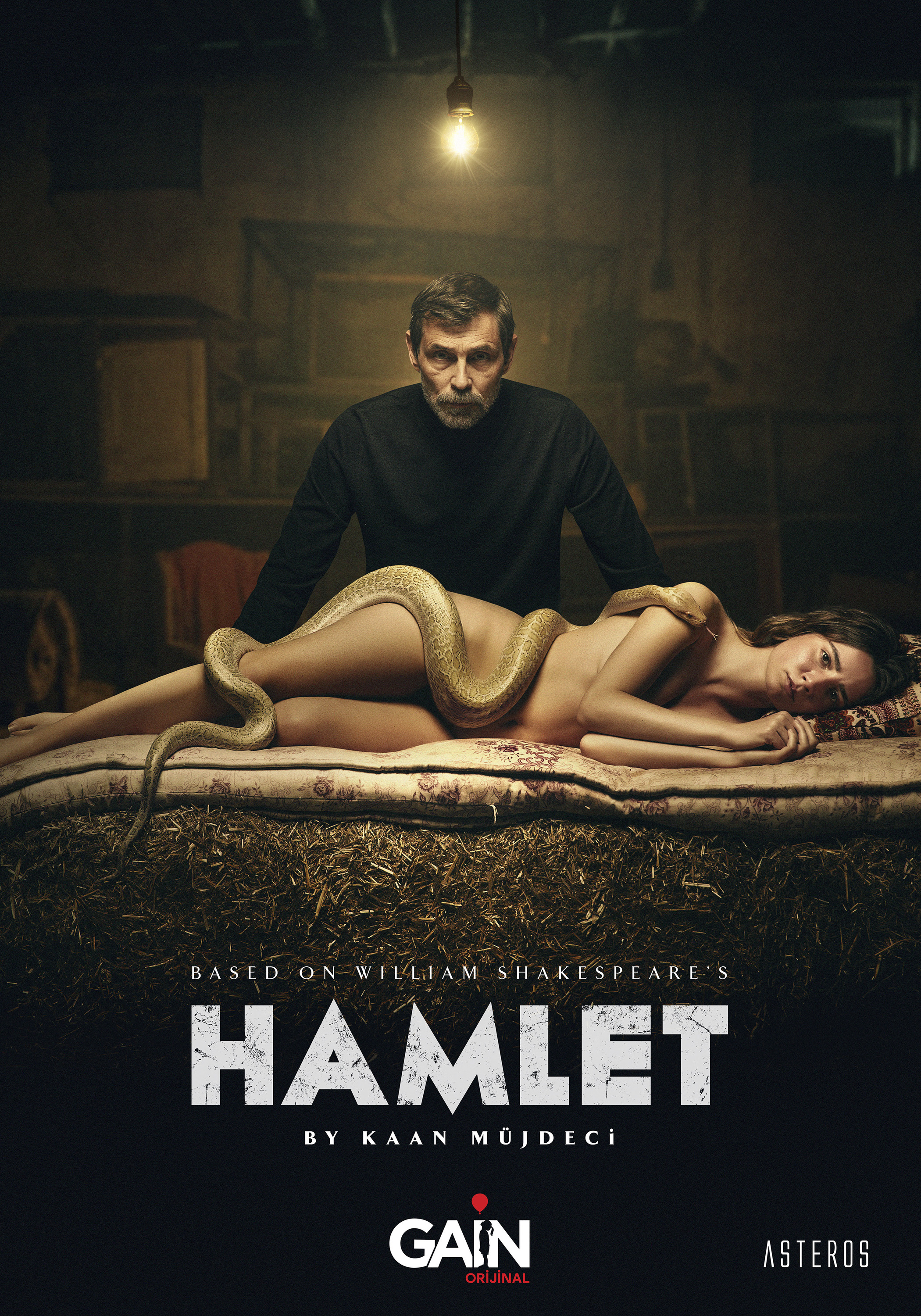 Mega Sized TV Poster Image for Hamlet 