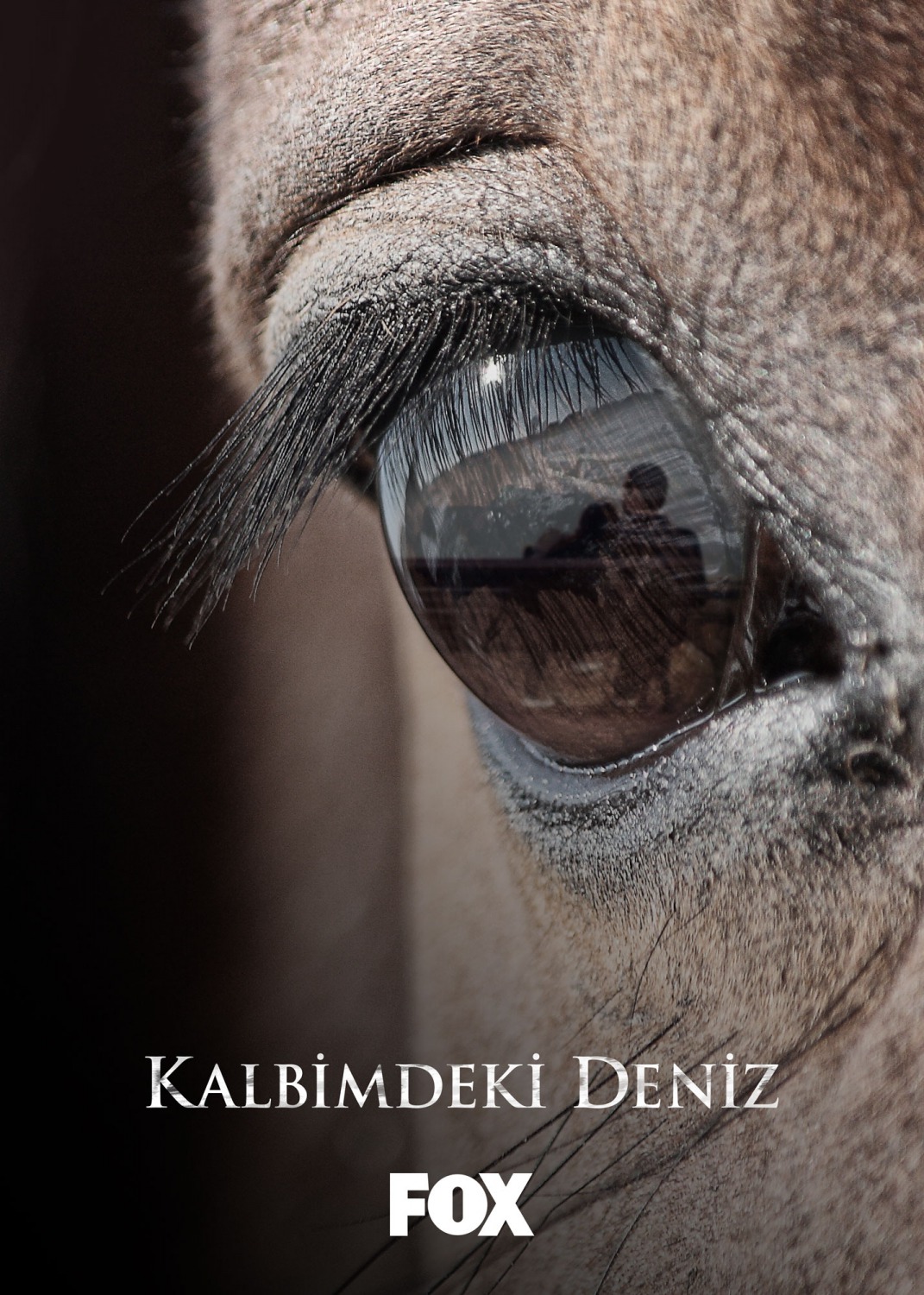 Extra Large TV Poster Image for Kalbimdeki Deniz (#1 of 3)