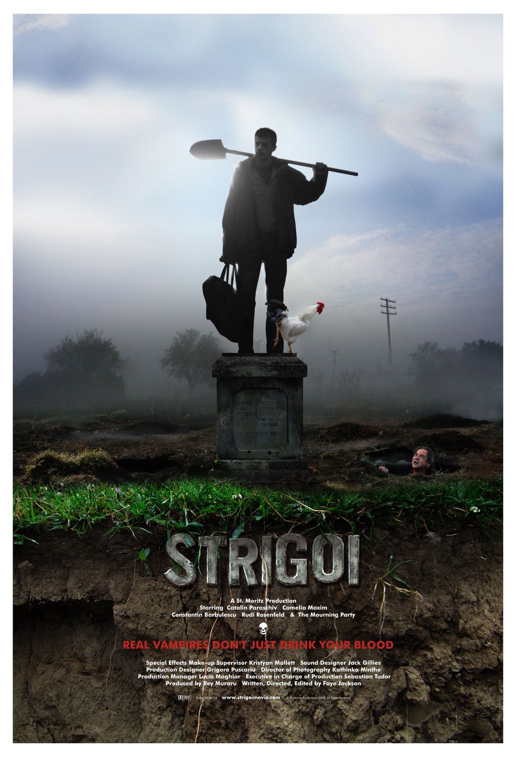 Extra Large Movie Poster Image for Strigoi 