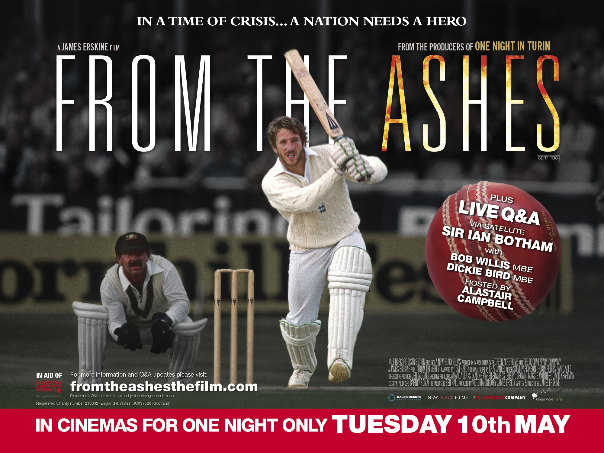 Mega Sized Movie Poster Image for From the Ashes 