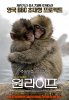 One Life (2011) Thumbnail