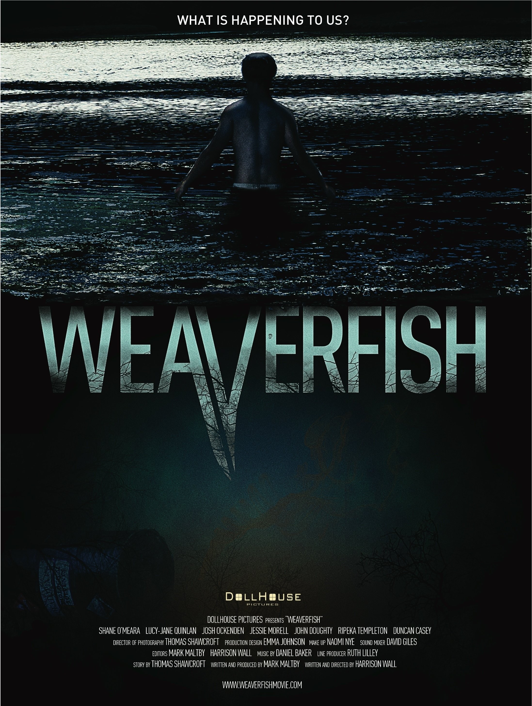 Mega Sized Movie Poster Image for Weaverfish 
