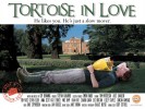 Tortoise in Love (2012) Thumbnail