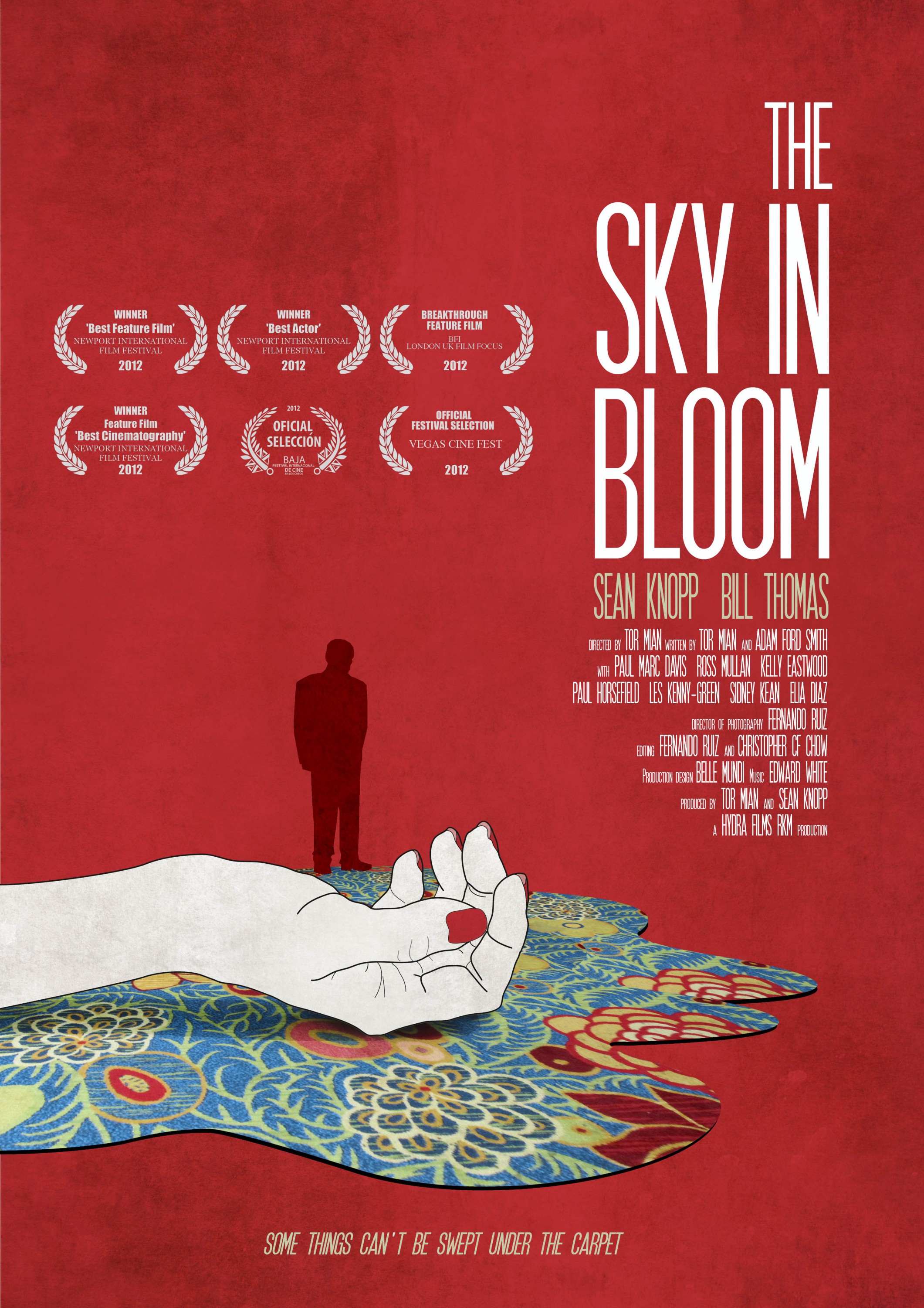 Mega Sized Movie Poster Image for The Sky in Bloom 