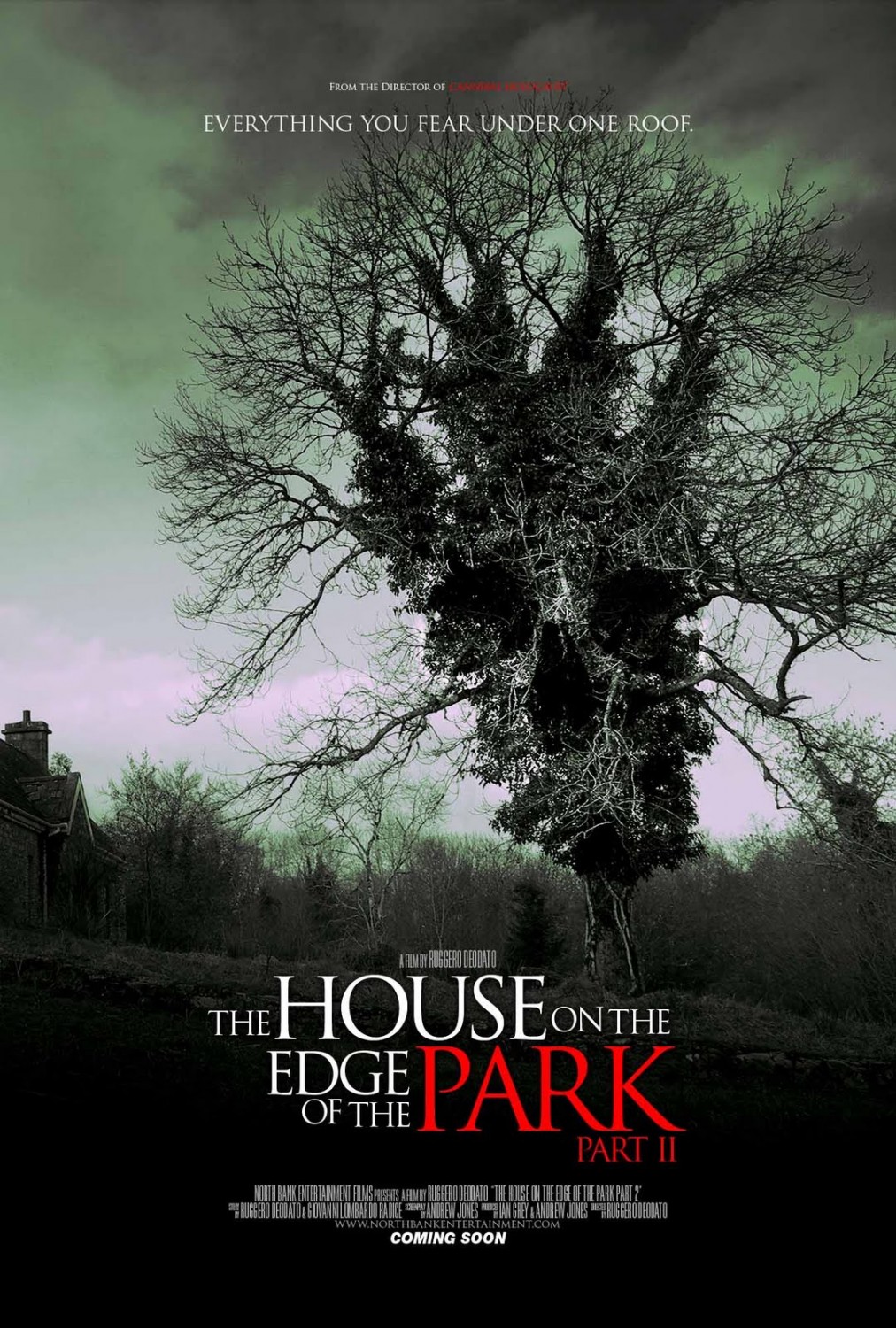 Extra Large Movie Poster Image for The House on the Edge of the Park Part II (#1 of 2)