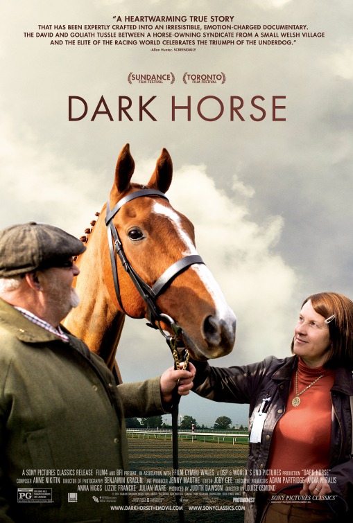 Dark Horse Movie Poster