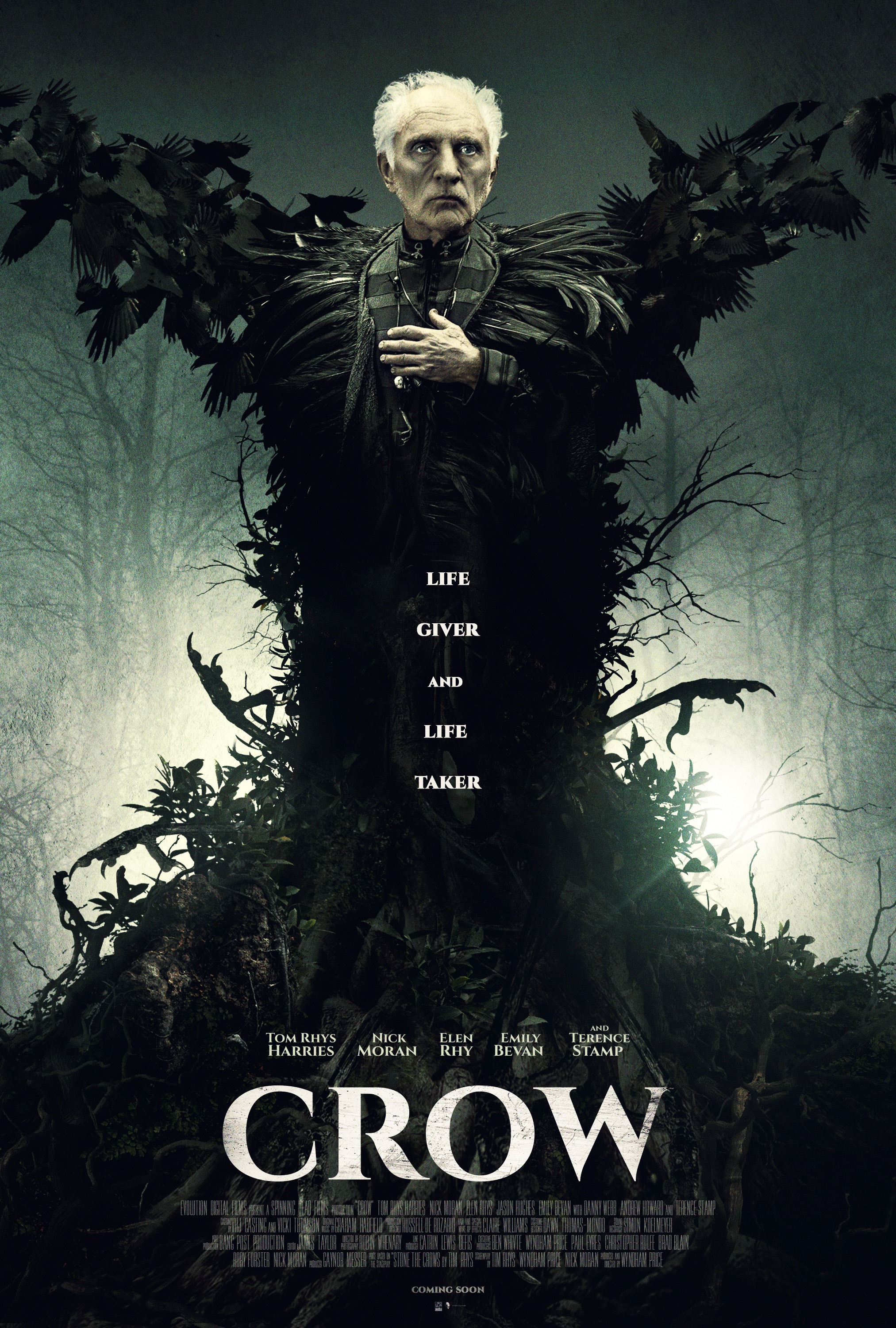 Mega Sized Movie Poster Image for Crow (#4 of 4)