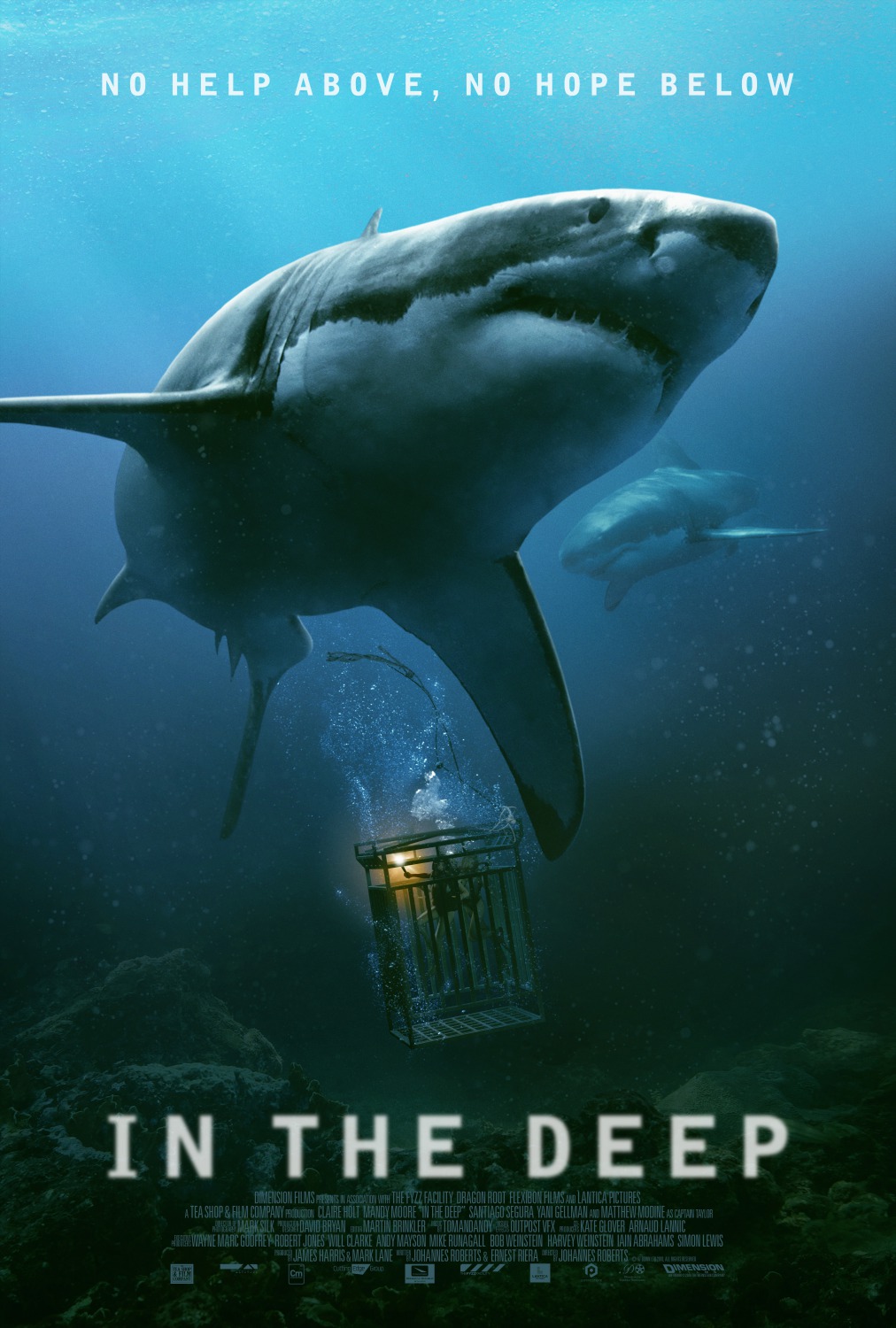 Extra Large Movie Poster Image for 47 Meters Down (#3 of 3)