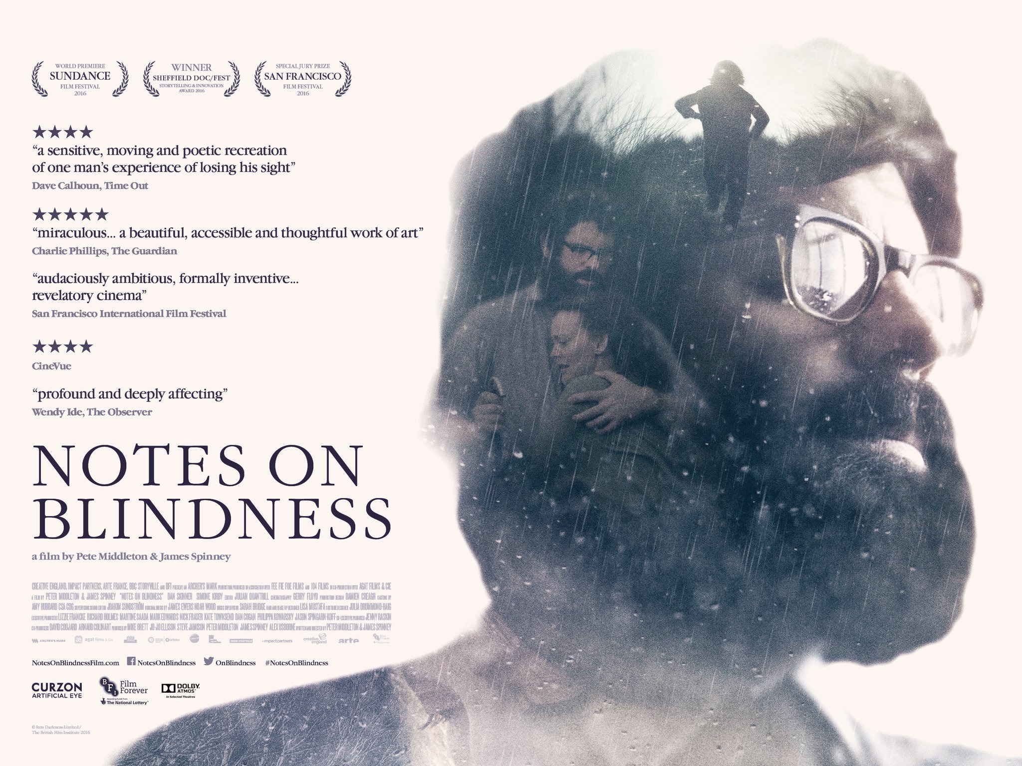 Mega Sized Movie Poster Image for Notes on Blindness (#1 of 2)