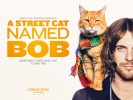 A Street Cat Named Bob (2016) Thumbnail