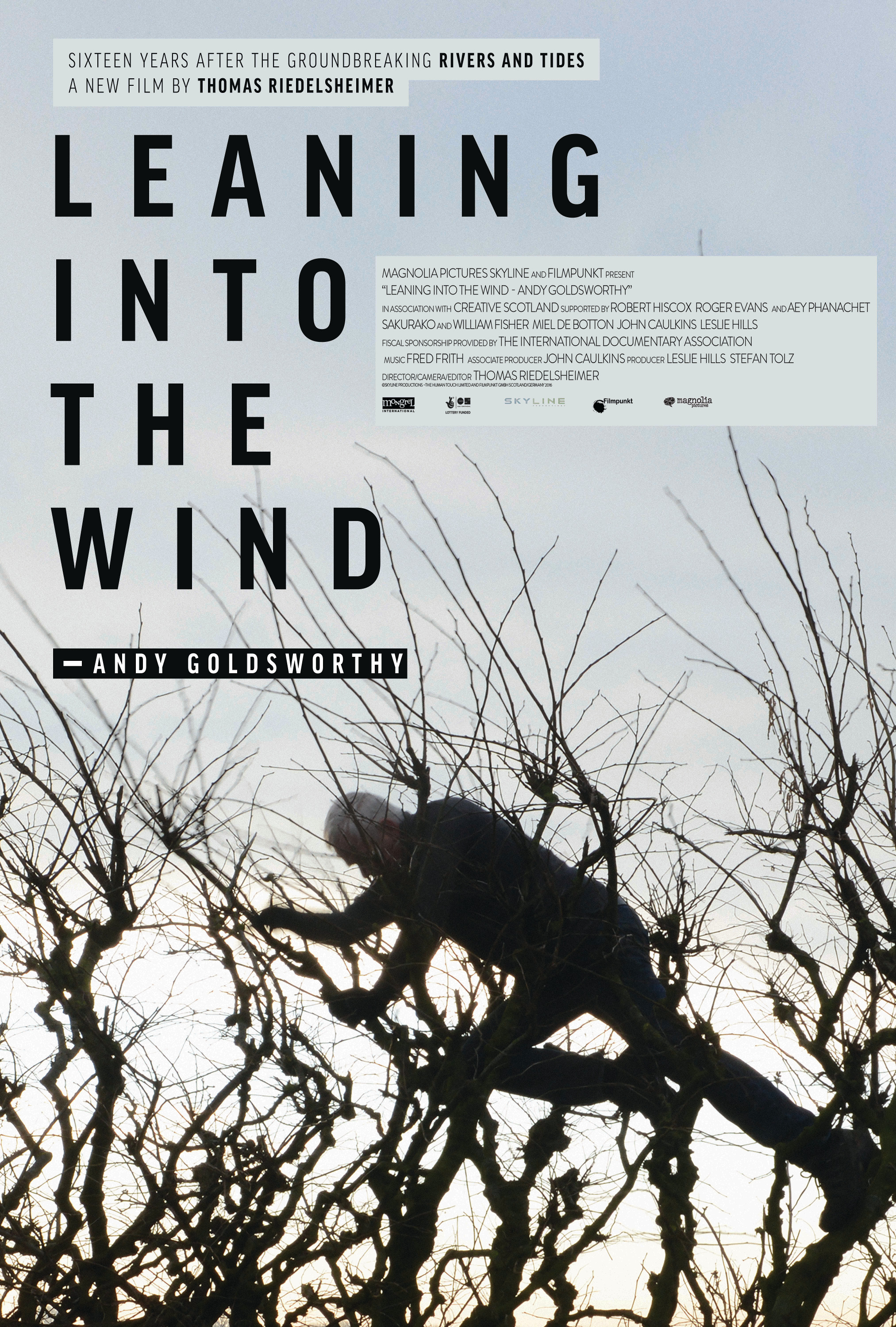 Mega Sized Movie Poster Image for Leaning Into the Wind: Andy Goldsworthy 