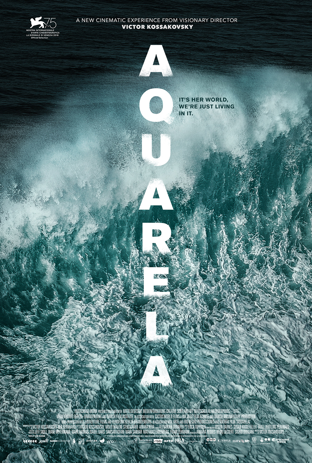 Extra Large Movie Poster Image for Aquarela (#1 of 2)