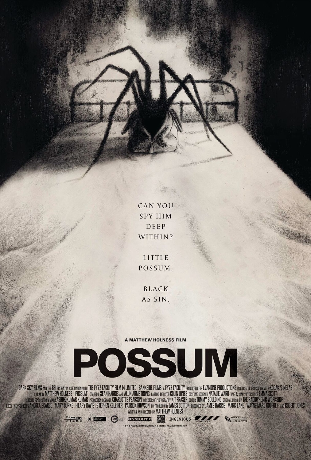 Extra Large Movie Poster Image for Possum 