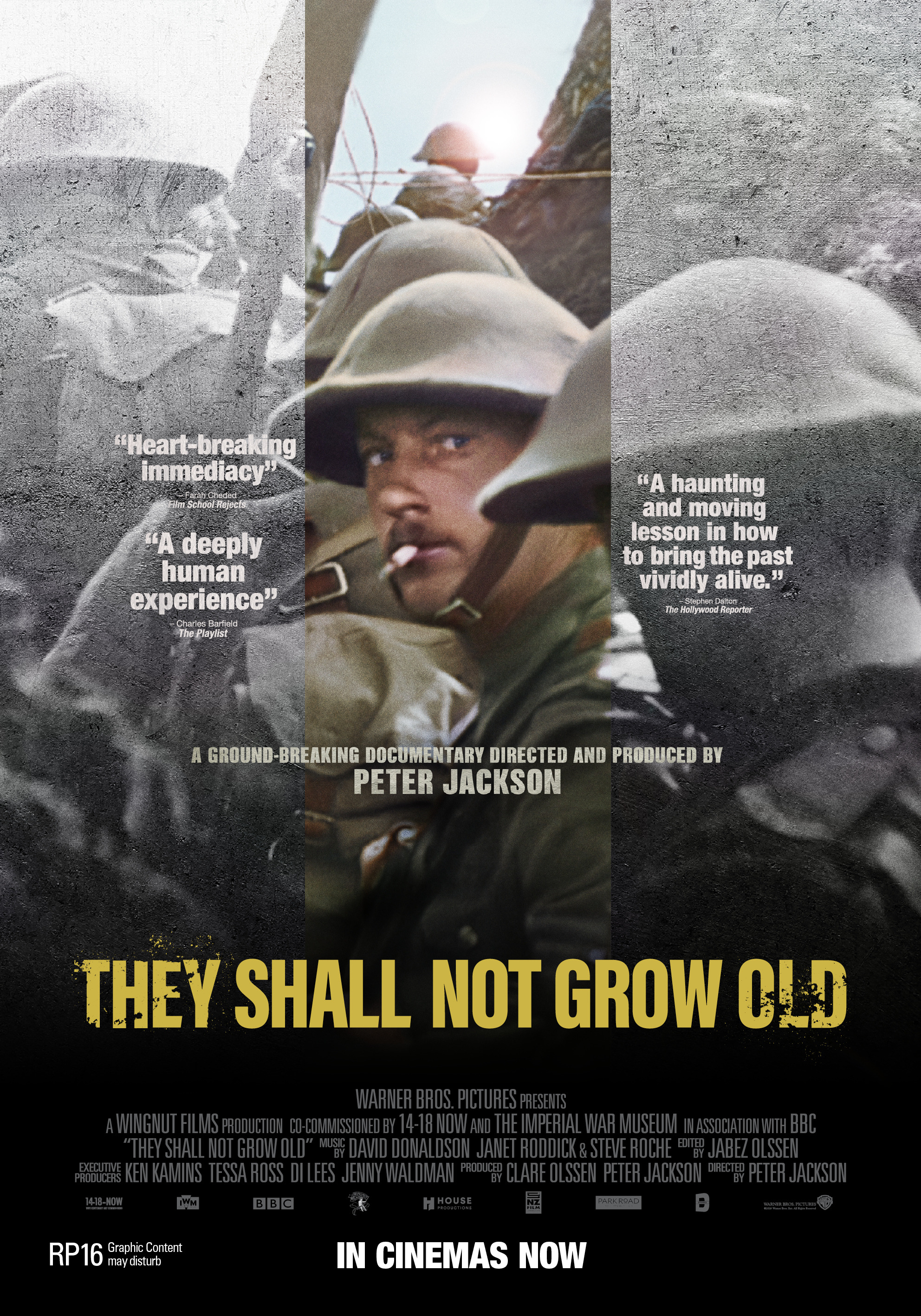 Mega Sized Movie Poster Image for They Shall Not Grow Old (#2 of 2)