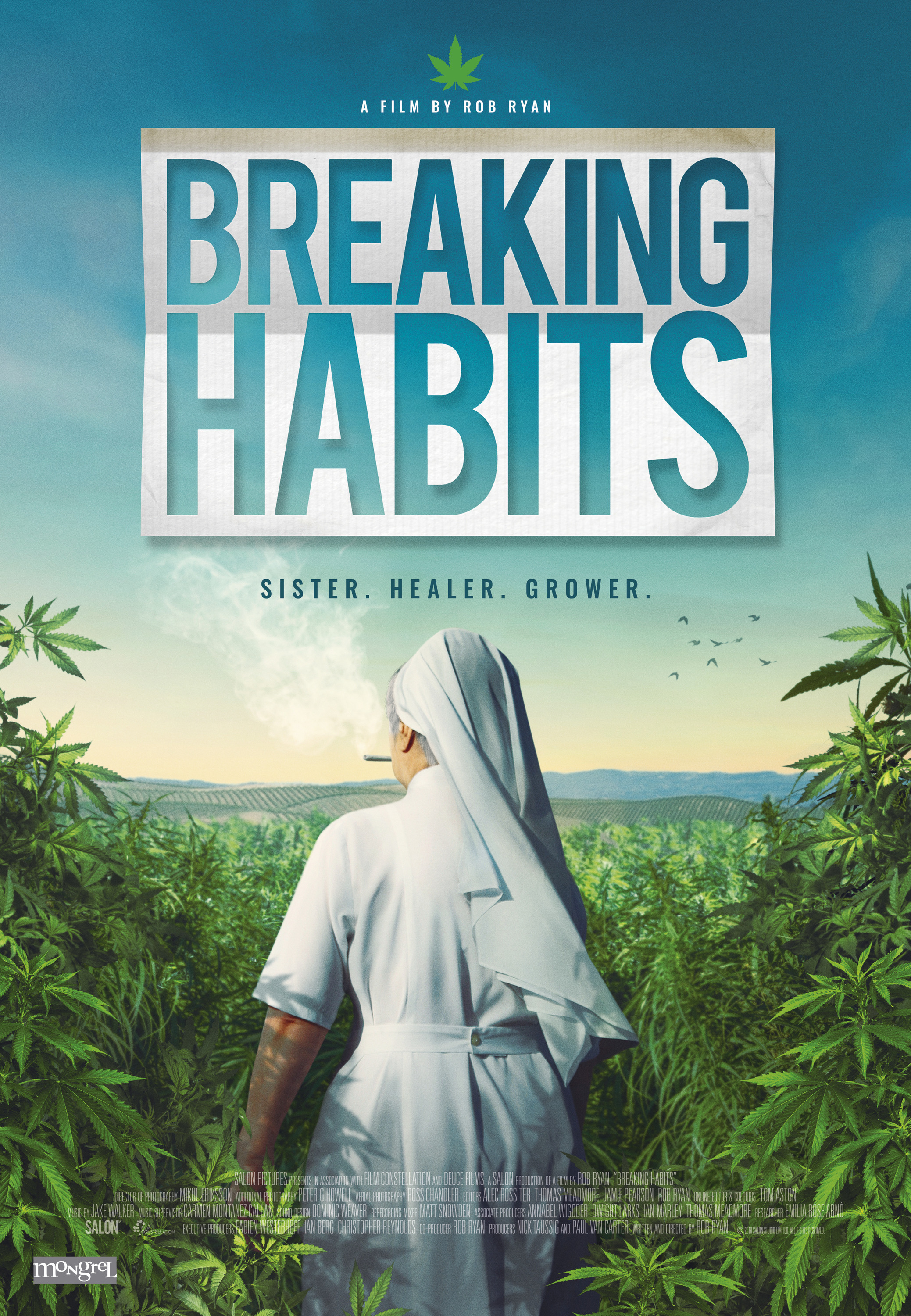 Mega Sized Movie Poster Image for Breaking Habits (#2 of 3)