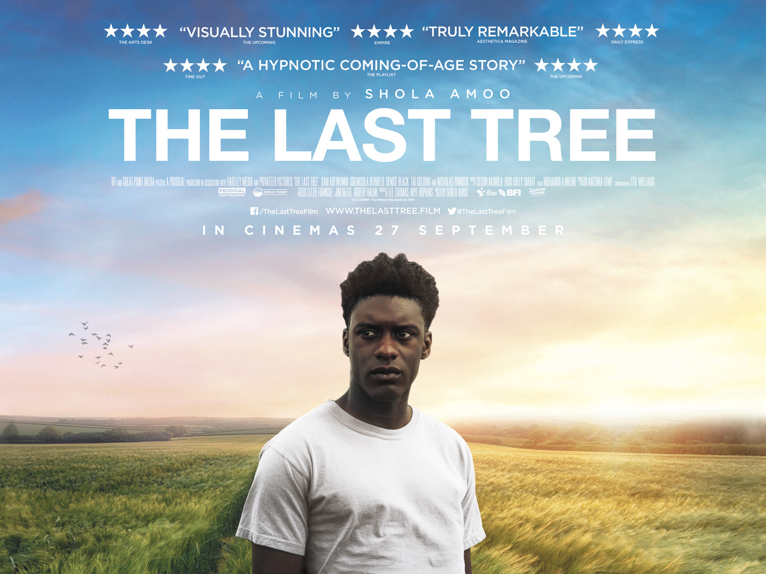 Extra Large Movie Poster Image for The Last Tree 