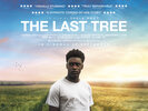 The Last Tree (2019) Thumbnail